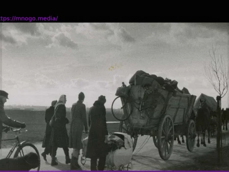 New Director: Turbulent Times for the Foundation for Flight, Expulsion, and Reconciliation