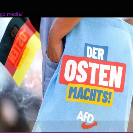 East German AfD Voters: An Analysis of the Entrenched Victim Mentality