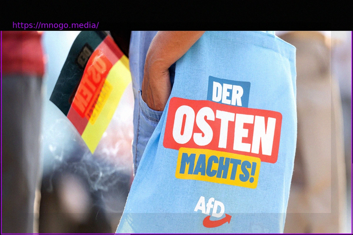 Preview East German AfD Voters: An Analysis of the Entrenched Victim Mentality