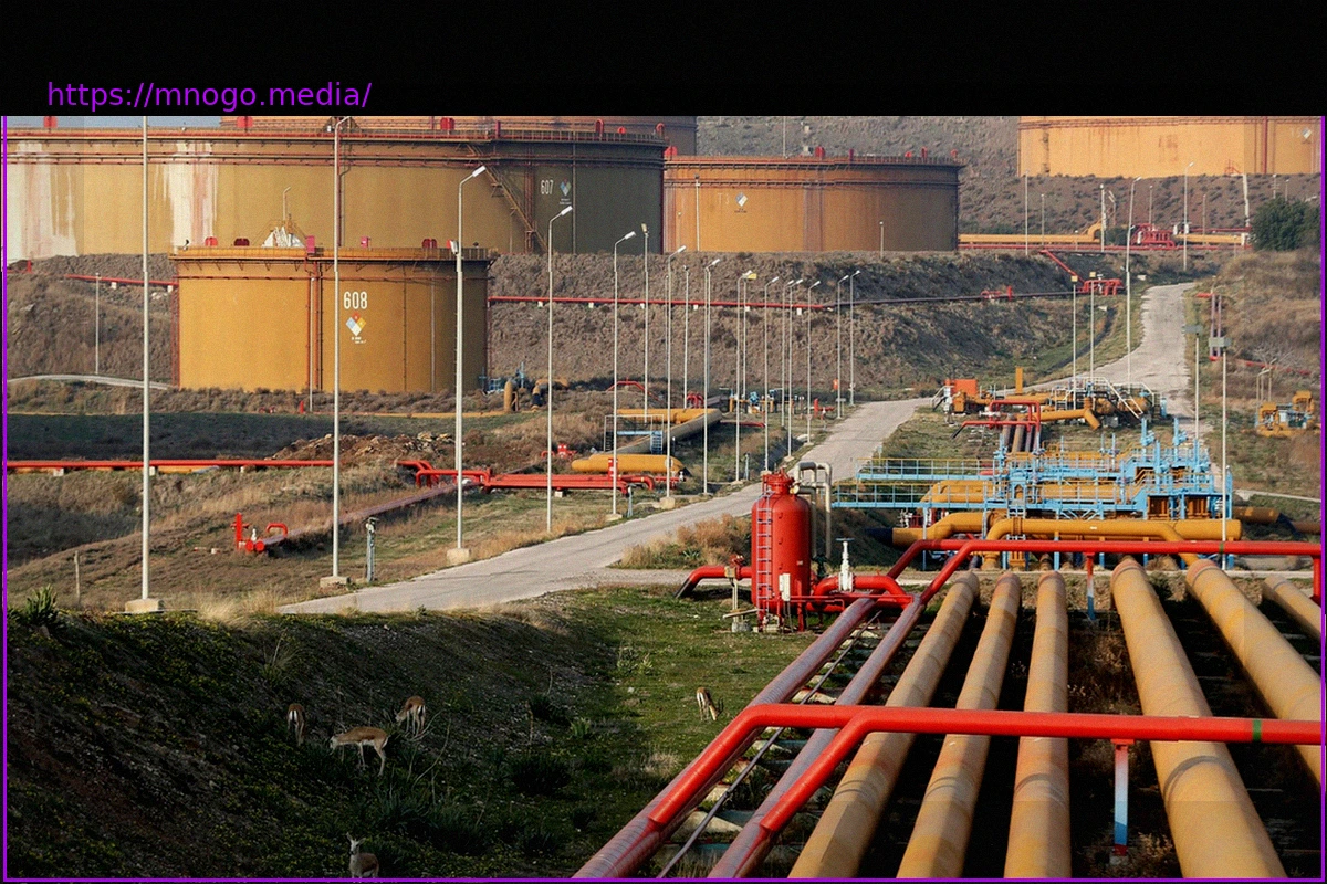 Preview Erdoğan Takes Firm Action on Fuel Prices Amidst Gulf War’s Economic Impact on Turkey