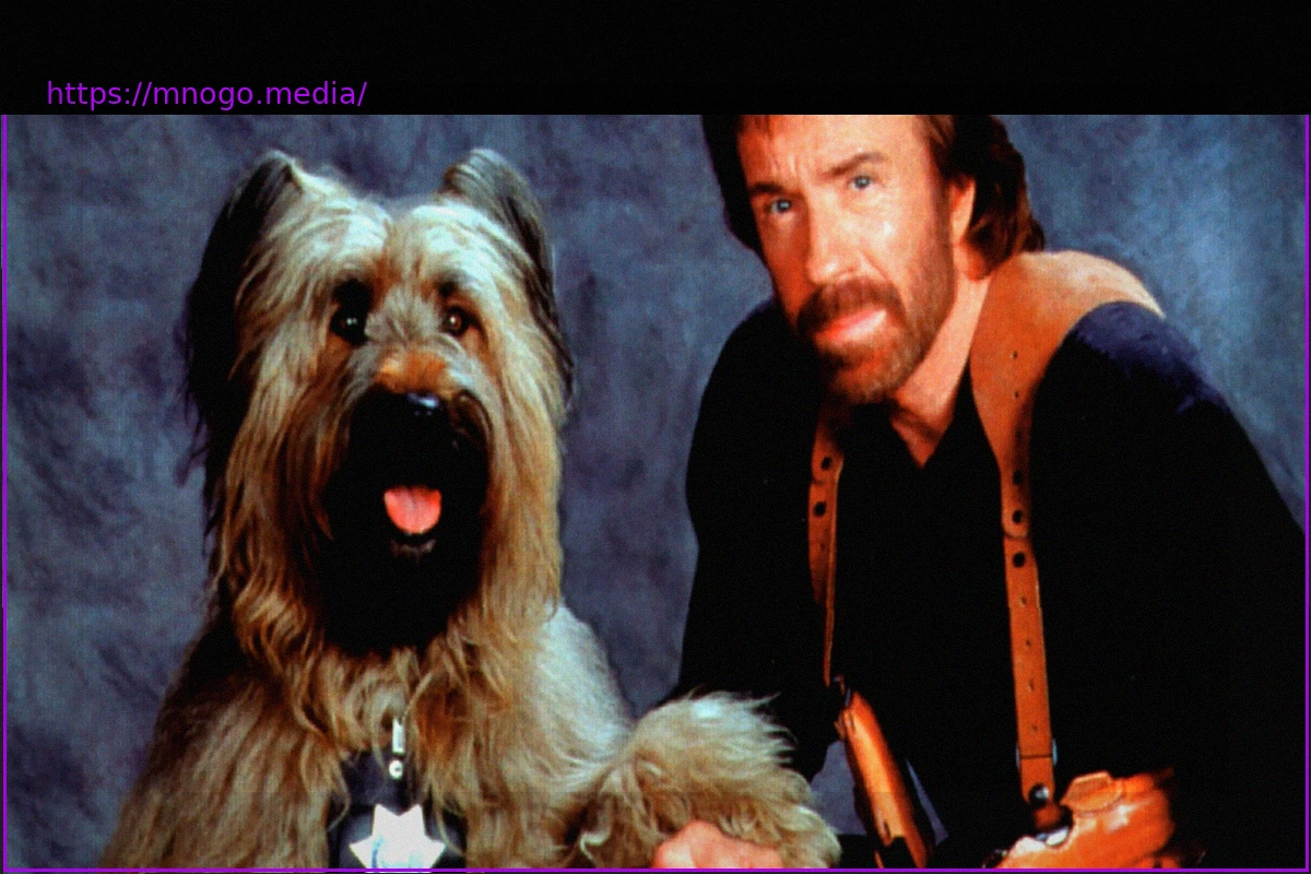 Preview The Legend Lives On: The Best Chuck Norris Jokes