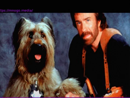 The Legend Lives On: The Best Chuck Norris Jokes