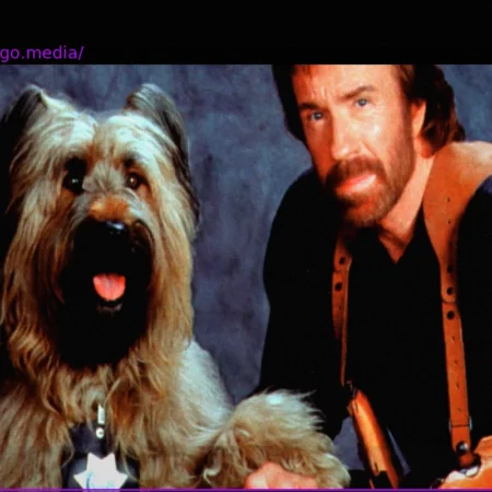 The Legend Lives On: The Best Chuck Norris Jokes