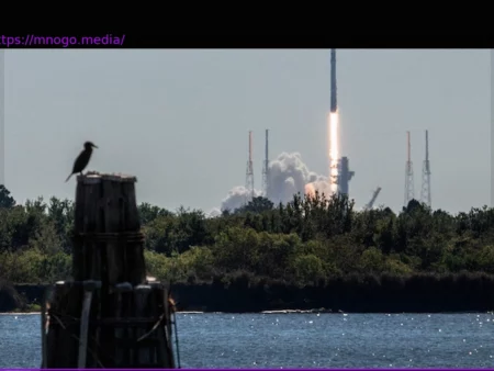 SpaceX Falcon 9 Launches 29 Starlink Satellites from Cape Canaveral