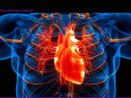 Unlocking Longevity: The Thymus Gland’s Unexpected Importance in Aging