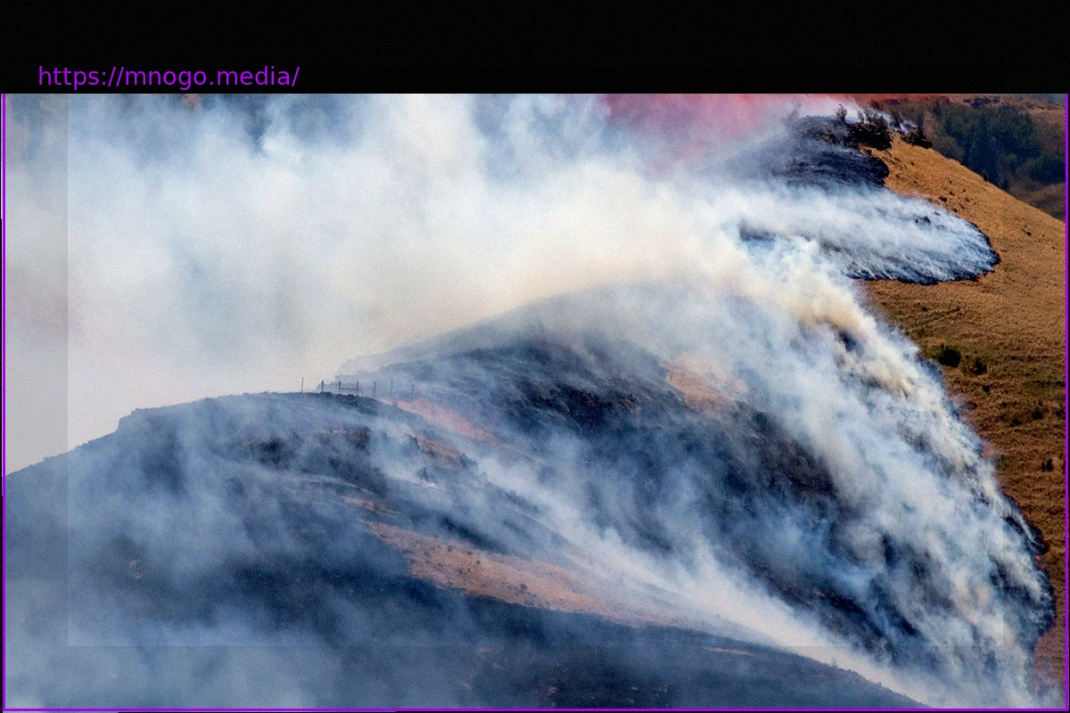 Preview Extreme Climate Risks: The Grim Calculations of Disaster Modellers