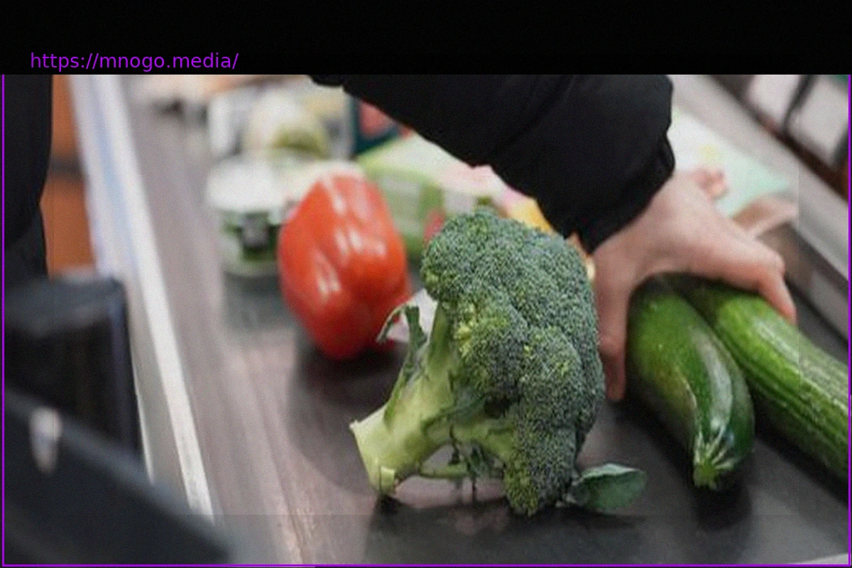 Preview German CDU Politicians Explore VAT Cut on Basic Food Items Amid Cost Increases