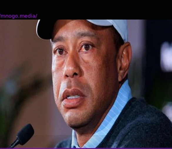 Tiger Woods: Police Bodycam Footage Reveals Arrest and Sobriety Tests Following Car Crash