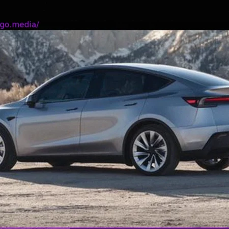 Tesla Rumored to Develop Its Most Affordable EV with SUV Styling