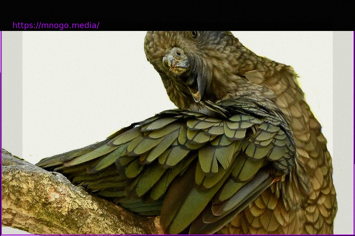 Preview Восхождение благодаря интеллекту: Преодоление препятствий, которые делают сильнее