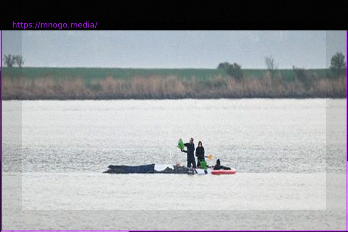 Preview Rettungseinsatz für gestrandeten Buckelwal vor Poel erfolgreich abgeschlossen