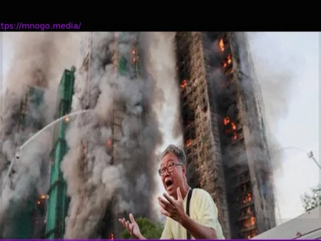 World Press Photo Contest 2026: Unveiling the Year’s Most Powerful Press Photos