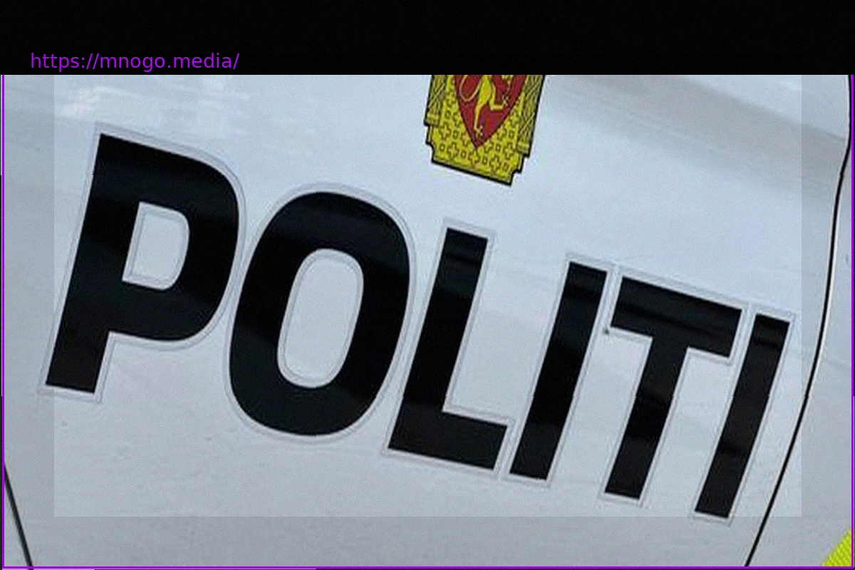 Preview 14-летний норвежец угнал автобус и проехал 200 км до Швеции