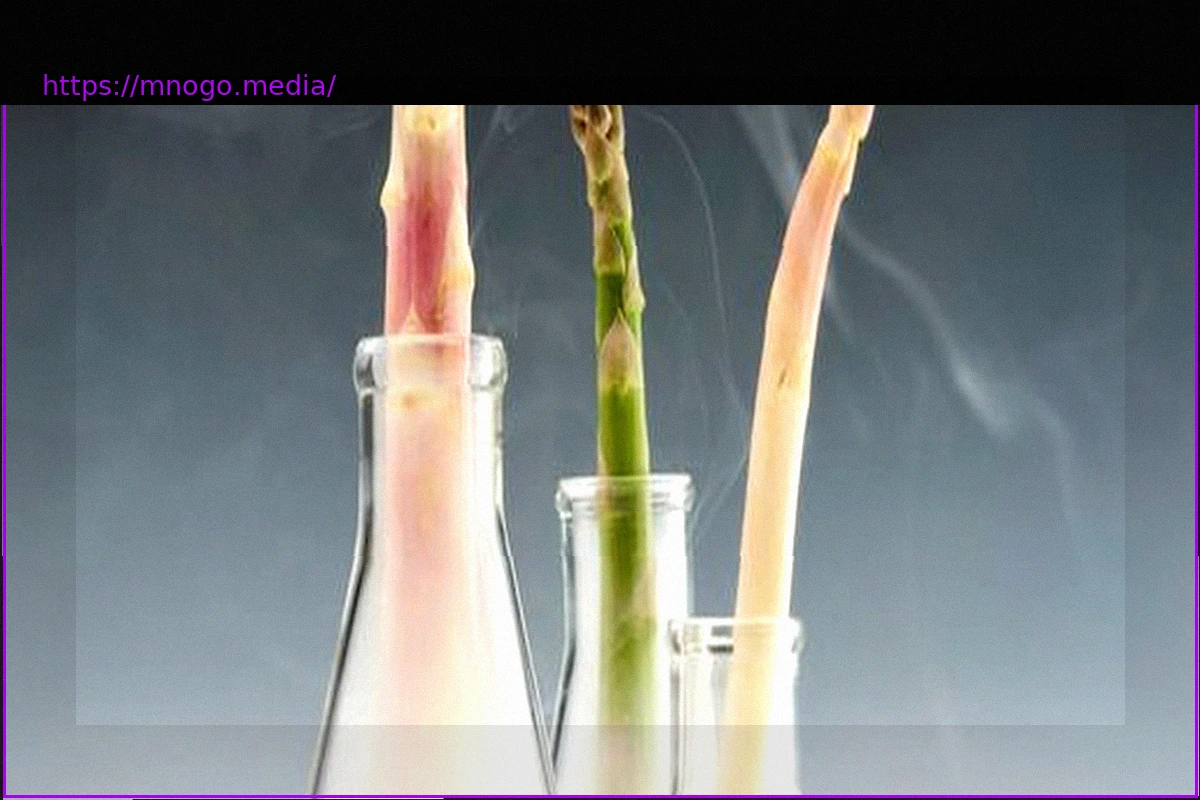 Preview Why Salt and Sugar Belong in Asparagus Water: A Culinary Science Secret