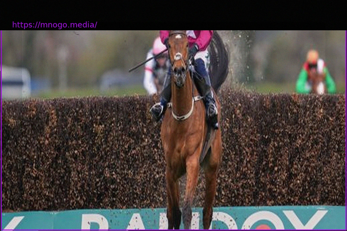 Preview Grand Nationals: Racehorse Gold Dancer Wins – and Must Be Euthanized