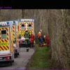 Flensburg: Tragic Falling Tree Incident Kills Three, Several Injured