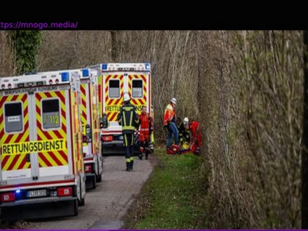 Flensburg: Tragic Falling Tree Incident Kills Three, Several Injured