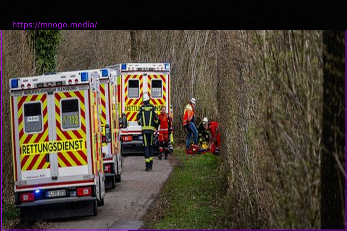 Preview Flensburg: Tragic Falling Tree Incident Kills Three, Several Injured