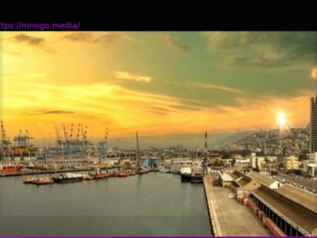 Украина обвиняет Израиль в импорте зерна из оккупированных Россией районов