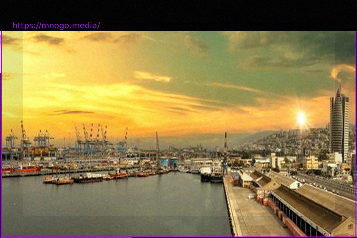 Preview Украина обвиняет Израиль в импорте зерна из оккупированных Россией районов