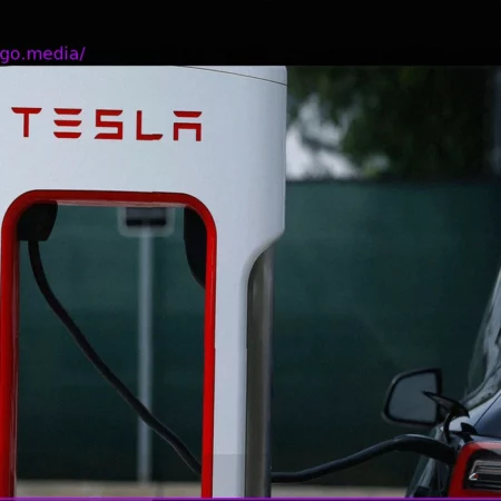 Tesla’s Slow Recovery Despite Rising EV Sales