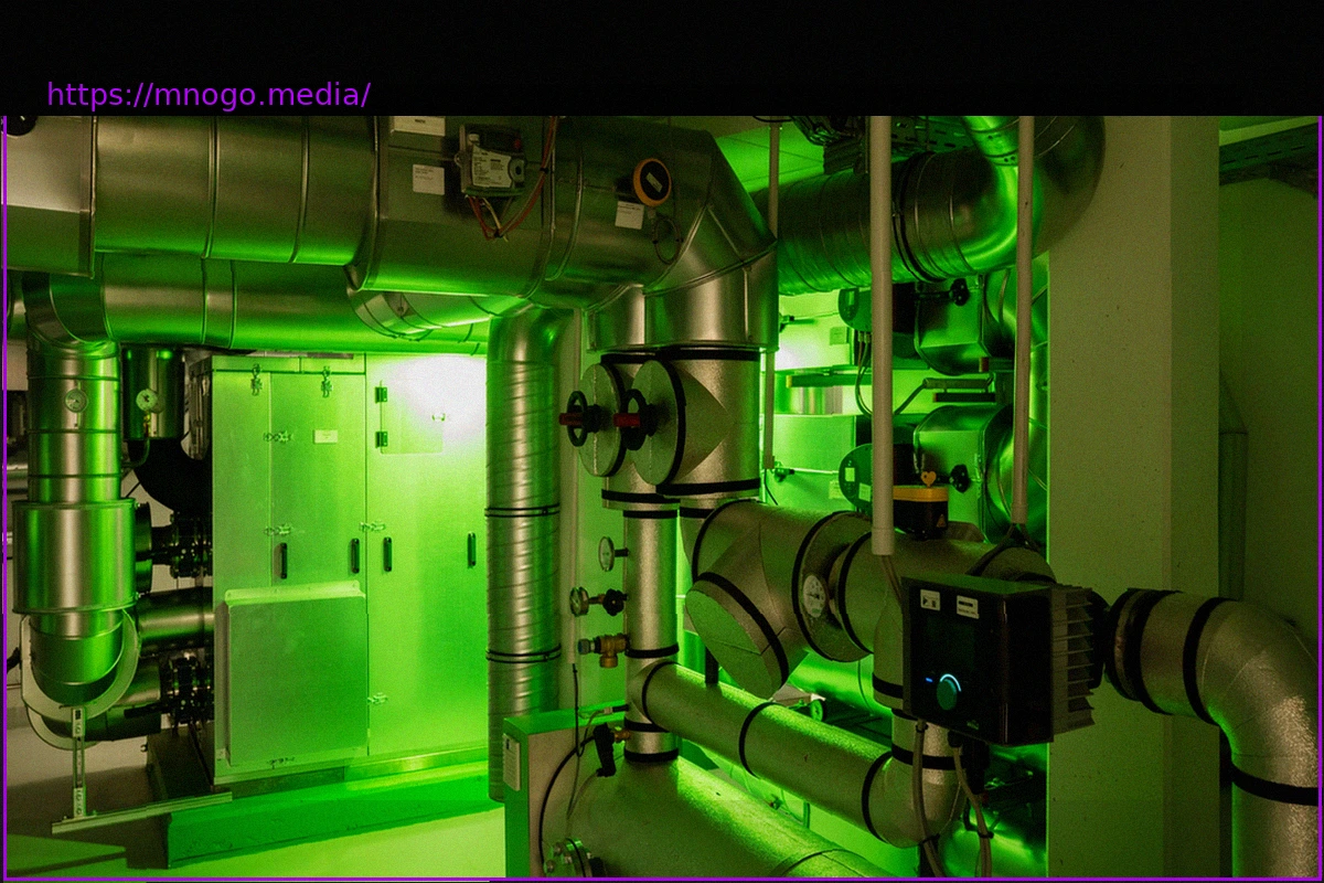 Preview The Electric Vehicle Boom: Are Households Shifting Gears?