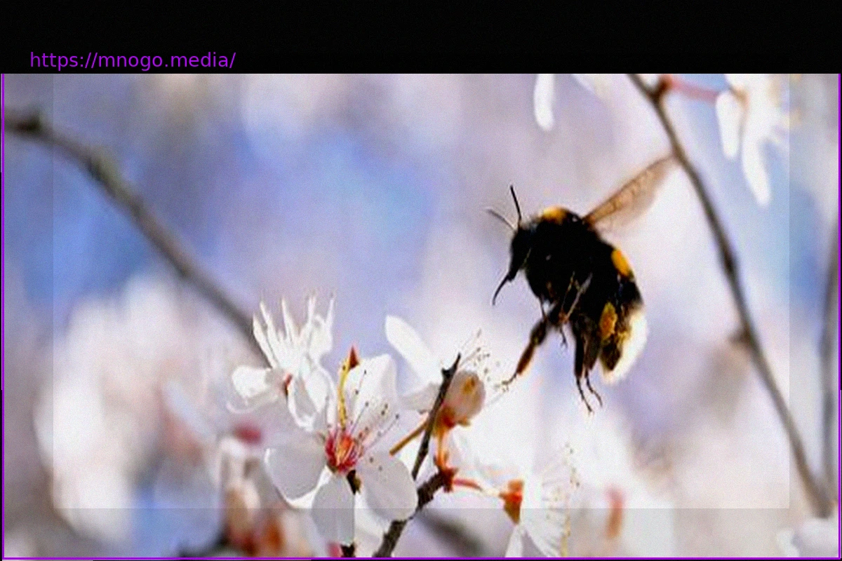 Preview Spring in the Countryside: Let’s Be Bumblebees!