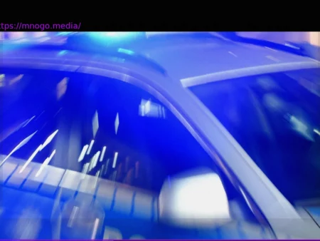 Tragisches Unglück bei Flensburg: Umgestürzter Baum fordert drei Todesopfer