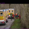 Tragic Tree Collapse Kills Three During Easter Egg Hunt Near Flensburg