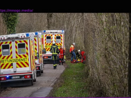 Tragic Tree Collapse Kills Three During Easter Egg Hunt Near Flensburg