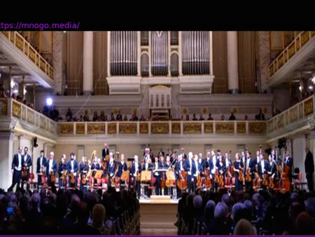 The Symphony of Color: How Concert Hall Design Shapes Our Musical Experience