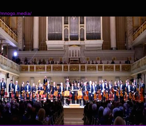 The Symphony of Color: How Concert Hall Design Shapes Our Musical Experience