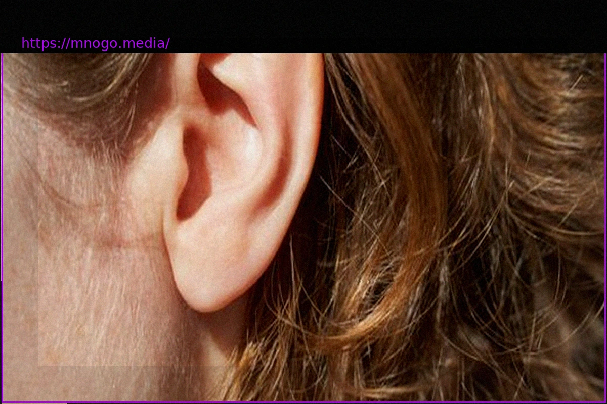 Preview Tinnitus: Serotonin als mögliche Ursache entdeckt