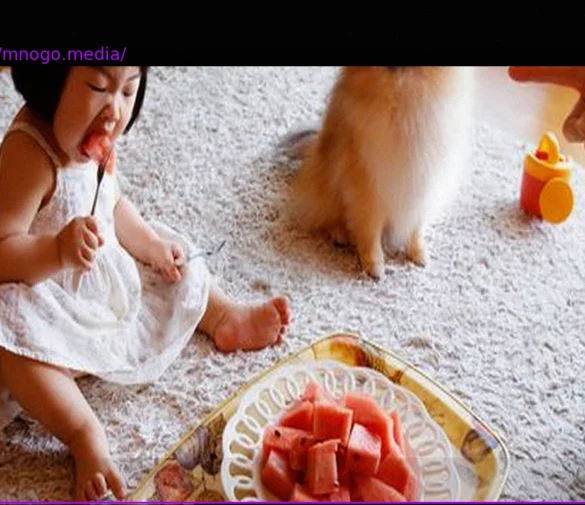 Sony World Photography Awards: Объявлены победители