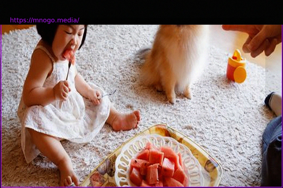 Preview Sony World Photography Awards: Объявлены победители