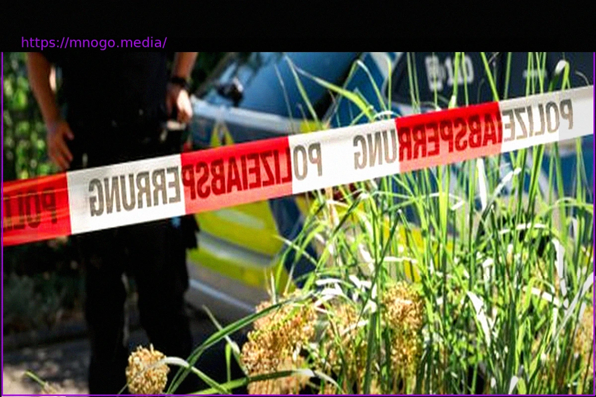 Preview Суинфурт: 22-летний осужден за убийство коллеги в Мелльрихштадте