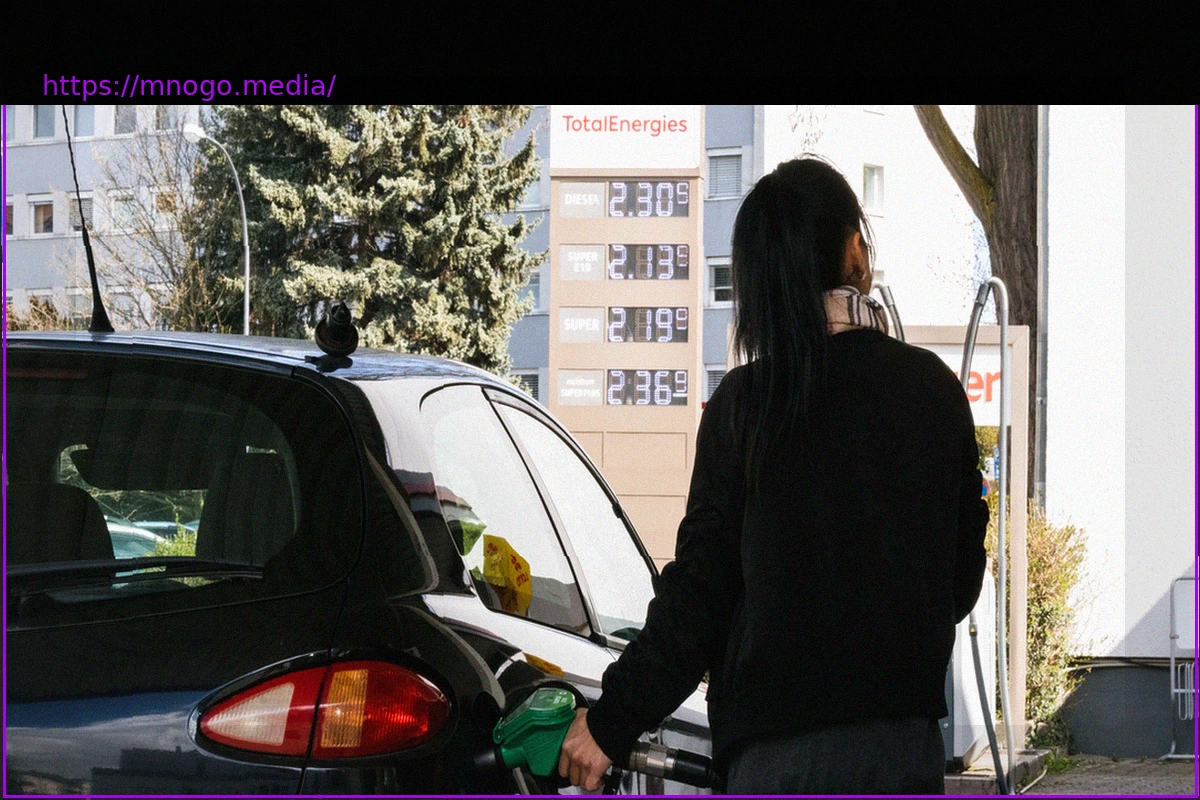 Preview German Diesel Price Hits Record High Despite New Government Regulations