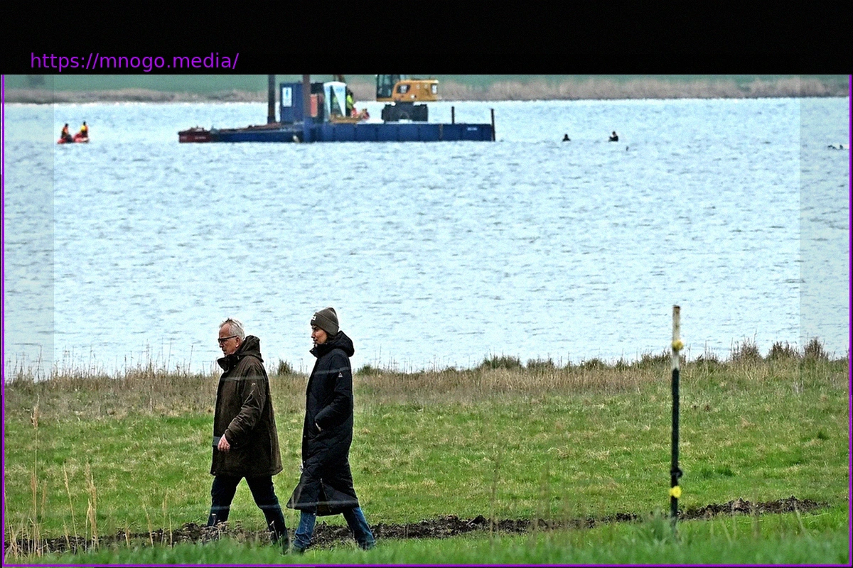 Preview Застрявший горбатый кит: сначала битва за кита, потом предвыборная кампания