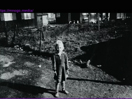 Leadership Role for Expellee Foundation: Roland Borchers Takes on Sensitive Post