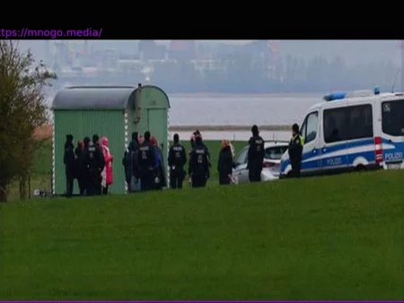 Ostsee: Wal »Timmy« hat wohl Wasser in der Lunge