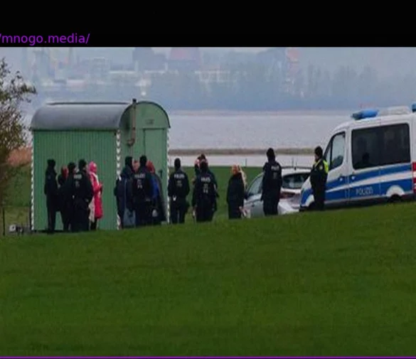 Ostsee: Wal »Timmy« hat wohl Wasser in der Lunge