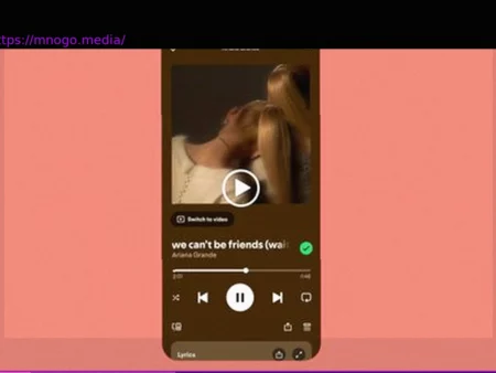 Spotify to Roll Out Controls to Disable All Videos: Music, Podcasts & Canvas