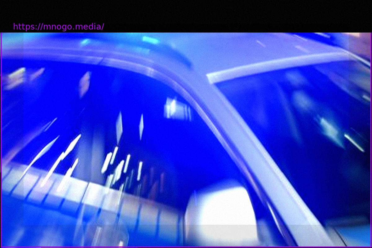 Preview Erzgebirge: BMW-Fahrer flüchtet hundert Kilometer vor der Polizei