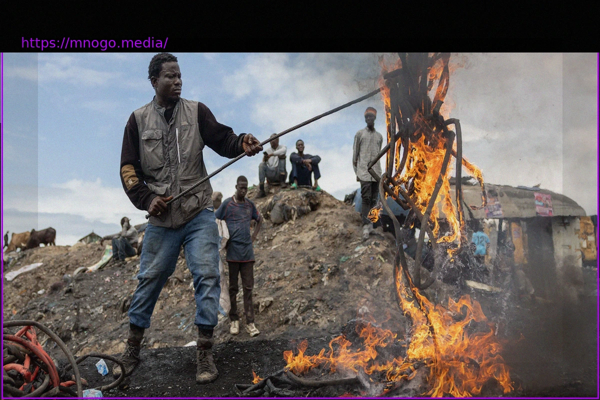 Preview Global Waste Trade: Unmasking the Downsides of Disposable Prosperity