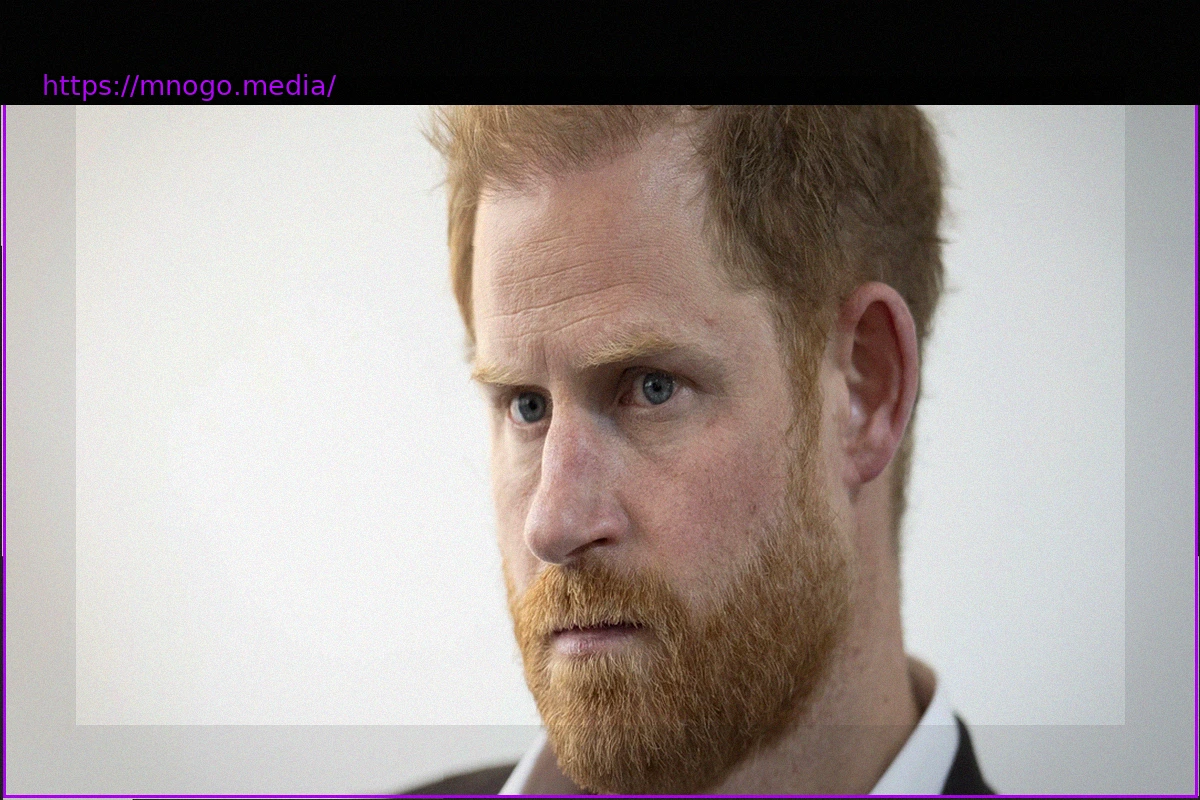 Preview Prince Harry Sued by Own Charity Over Defamation