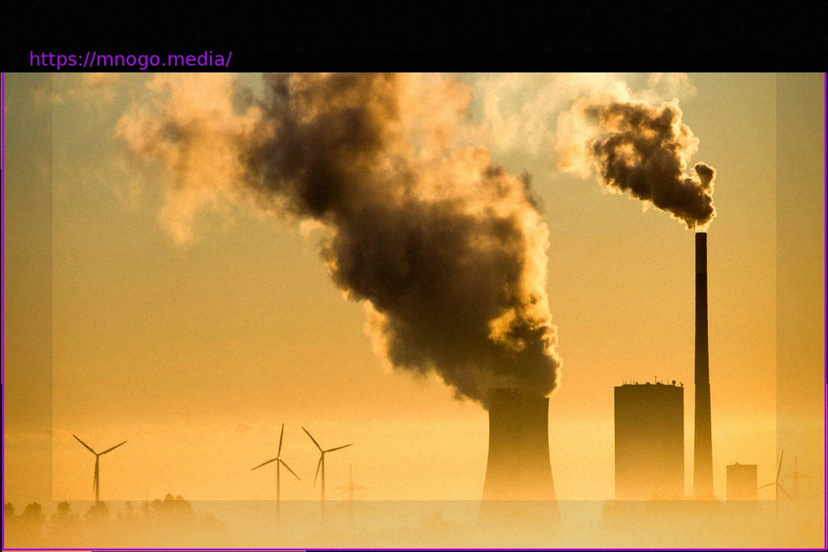 Preview Vorgaben im Grundgesetz: Die deutsche Klimapolitik wird nicht in Karlsruhe gemacht