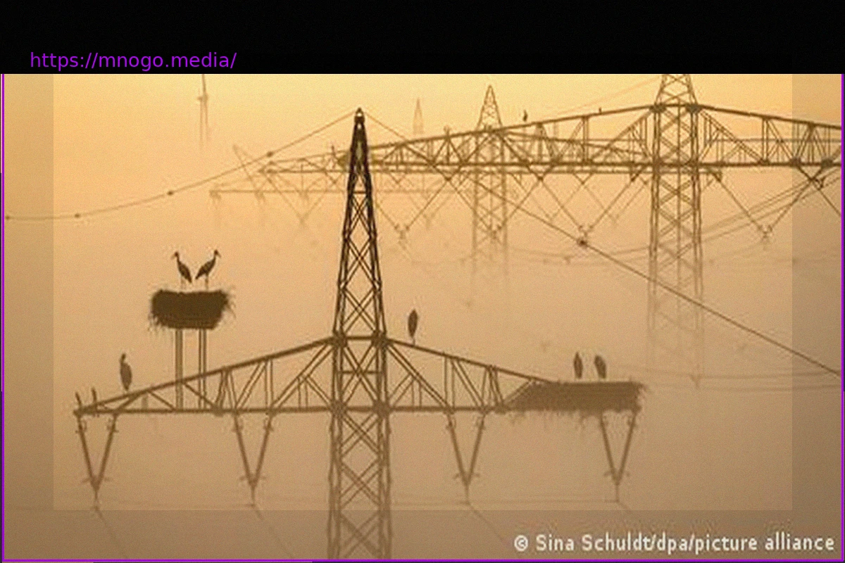 Preview Germany’s Green Energy Bottleneck: Insufficient Storage Capacity