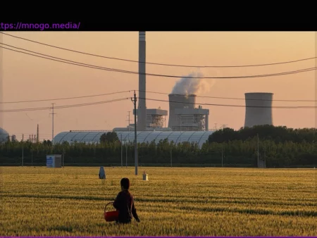 Chinese Farmers Earn Fraction of Civil Servant Salary, Face Low Pensions