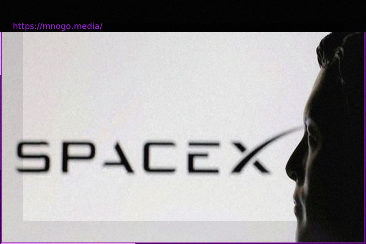 Preview SpaceX IPO Propels Elon Musk into Billionaire Status