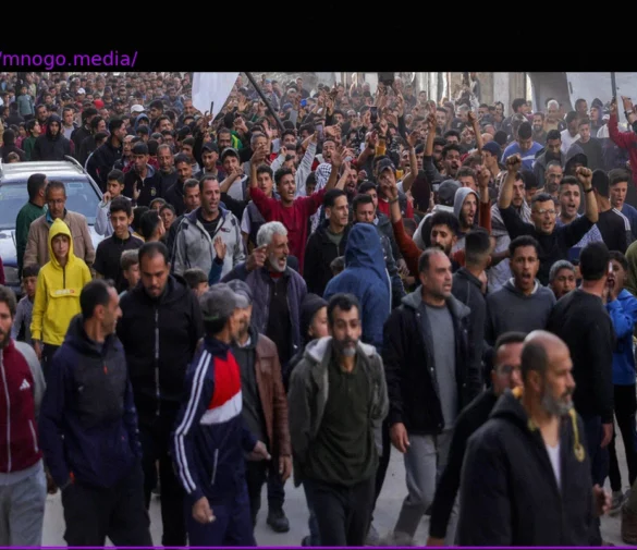 Hamza Howidy on the Gaza War: A Palestinian Confronting Hamas